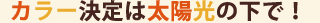 カラー決定は太陽光の下で！