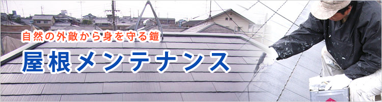 屋根メンテナンスリフォーム リフォーム事例紹介